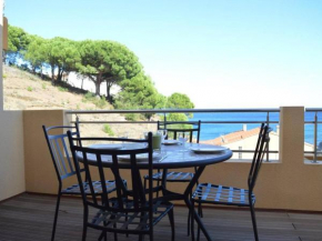 Appartement moderne 2 chambres avec terrasse, parking et climatisation à Banyuls-sur-Mer - FR-1-225C-531